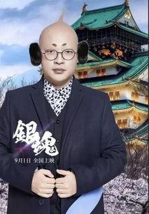 易小星最新爆料,揭秘娱乐圈幕后真相